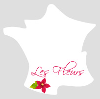 Situation geographique - Hotel les Fleurs - Argeles-Gazost